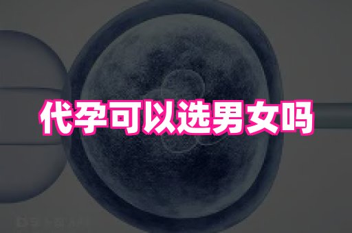 69助孕网 1