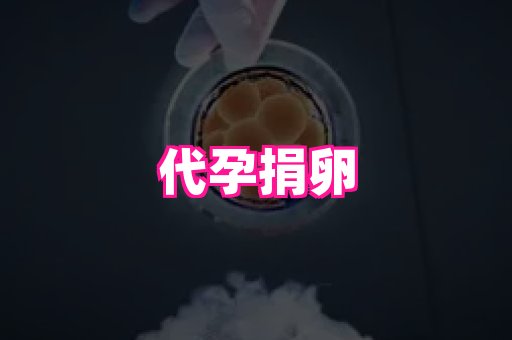 69助孕网 2