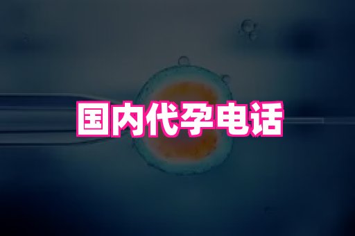 69助孕网 3