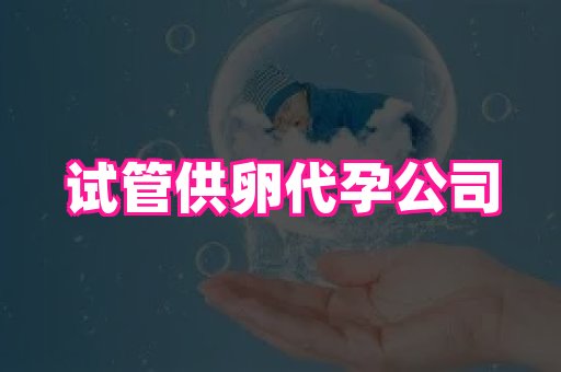 69助孕网 4